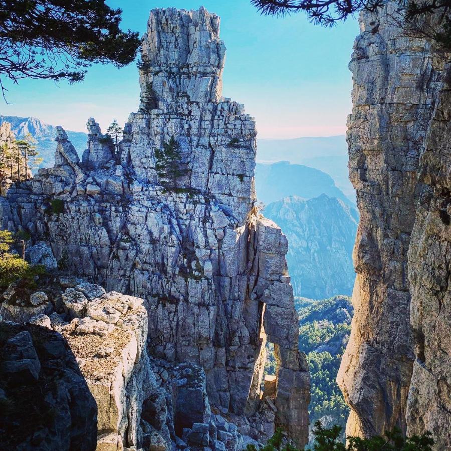Gite D'Etape Bastide Petra Castellana Verdon Castellane Dış mekan fotoğraf